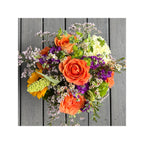 FLEURS de PROVENCE