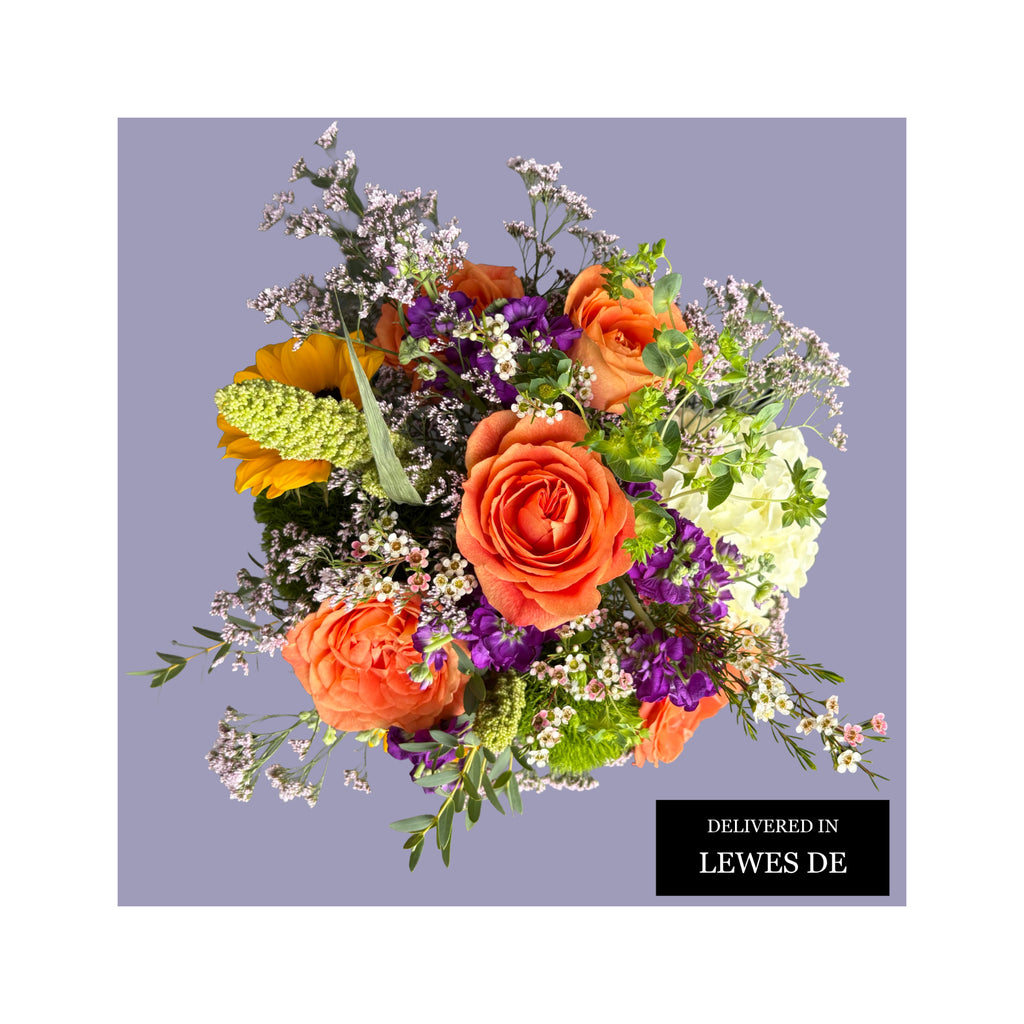 FLEURS de PROVENCE