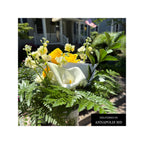 FLEURS JAUNES