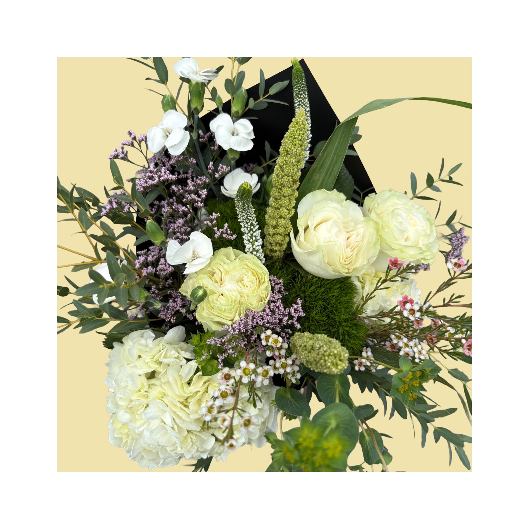 FLEURS BLANCHES