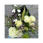 FLEURS BLANCHES
