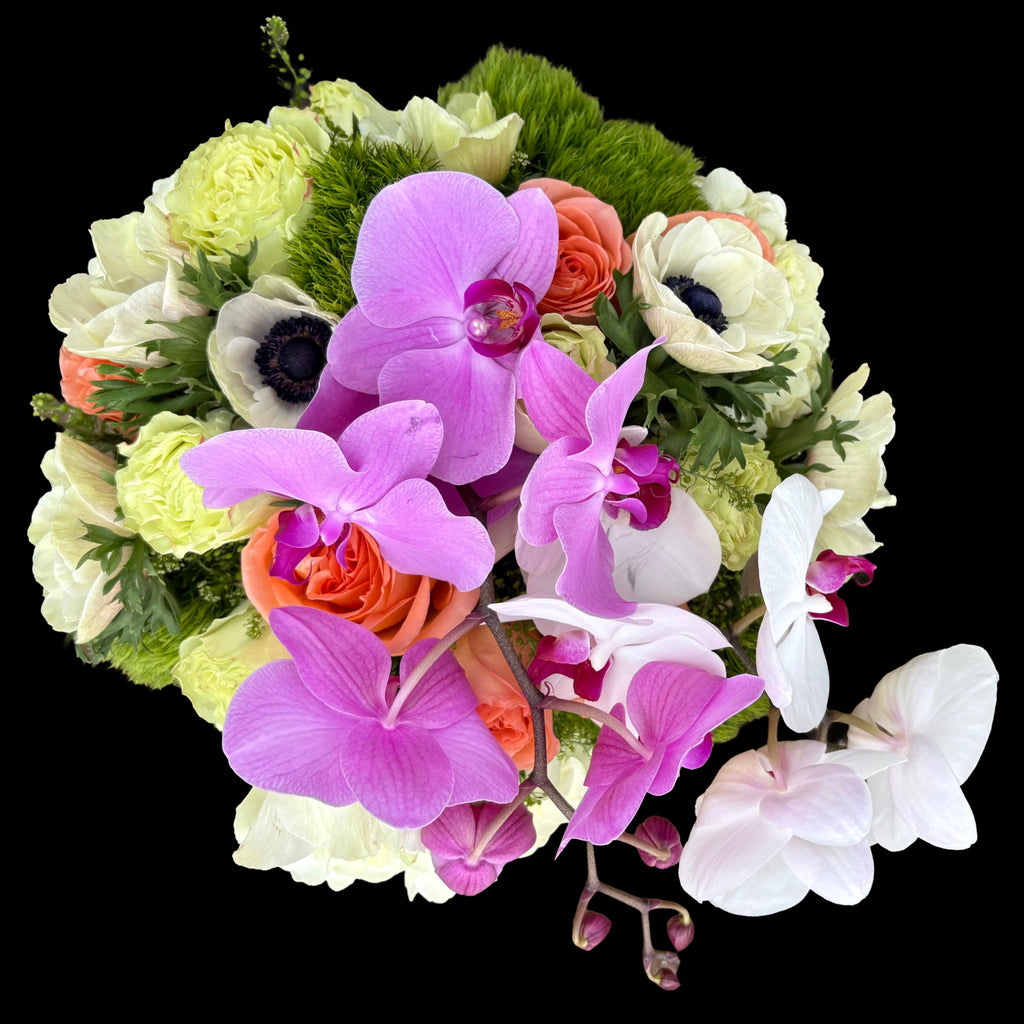 PURPLE & ACCENTS